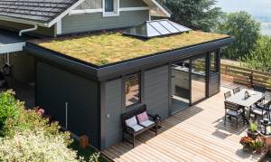 Extension à toit plat végétalisée