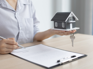 division de maison et location courte durée