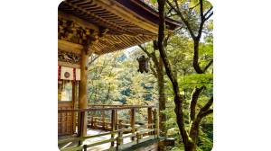 Aménager un jardin japonais sur Sartilly-Baie-Bocage 50530