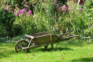 Création de potager