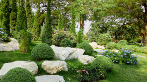 Oasis verte Saint-Quentin 