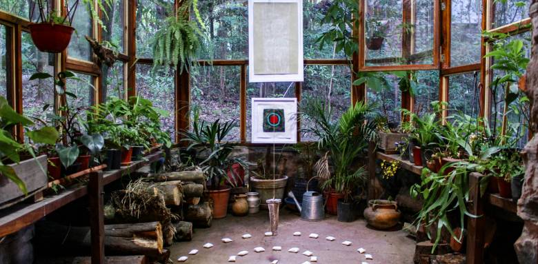 Jardin d'hiver avec beaucoup de végétaux