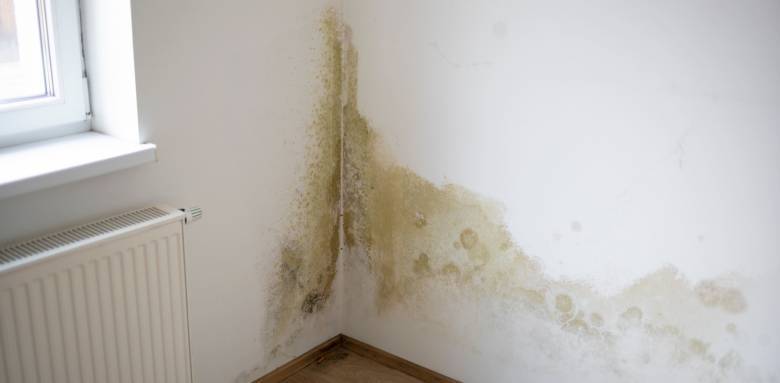 Humidité