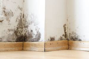 Rénovation intérieure 