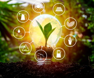 Rénovation énergétique