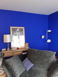 Salon Bleu Klein