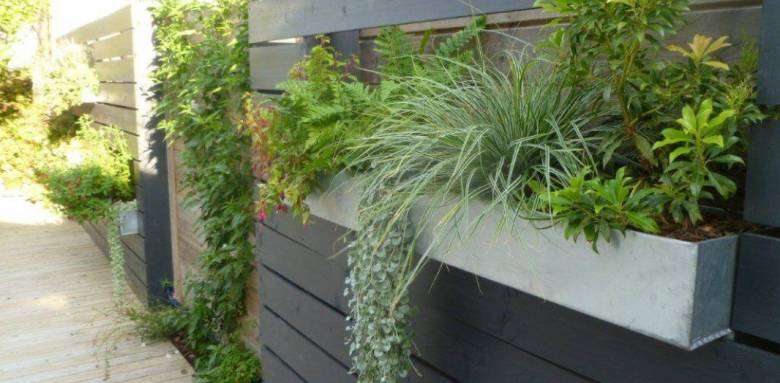 Clôture végétalisée