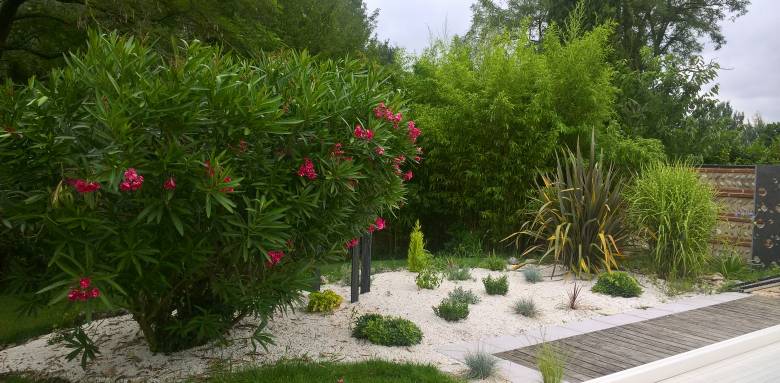 Mur végétal : comment l'aménager ?