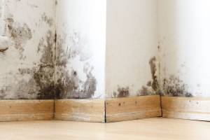 Rénovation intérieure