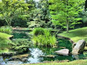 oasis jardin savoie