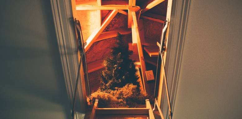 Isolation des combles