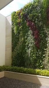 Mur végétal