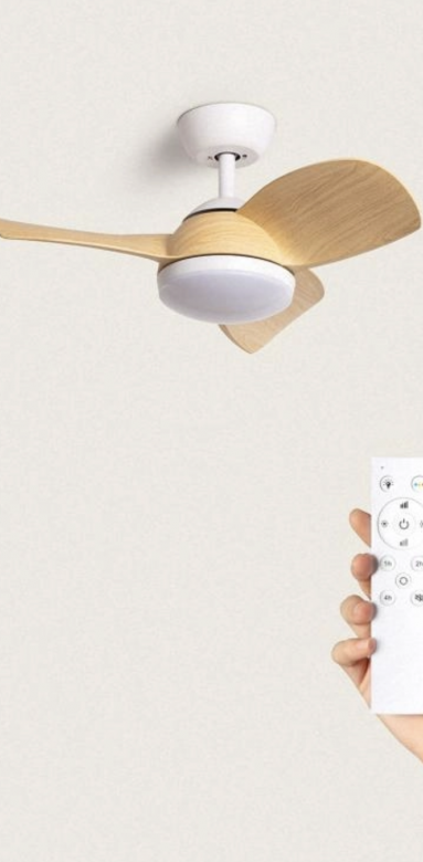 Ventilateur de plafond moderne et pratique