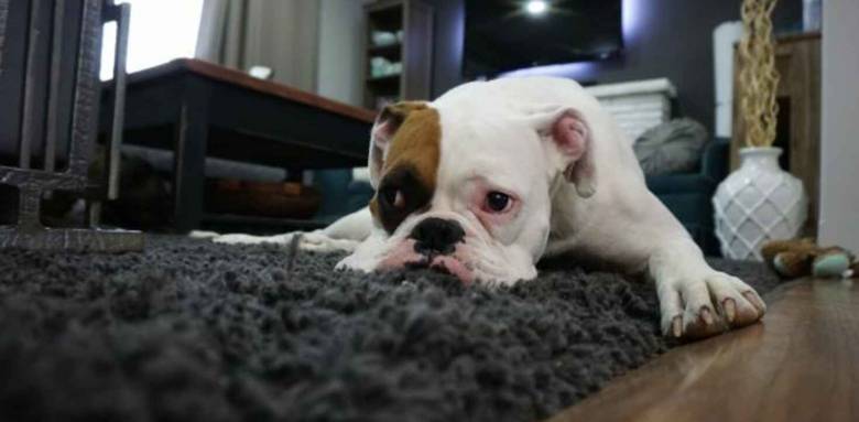 Quel revêtement de sol pour l'intérieur ?