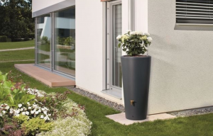  Récupération d'eau de plui