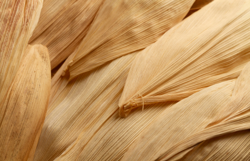 déco naturelle 