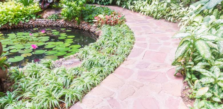 Aménagement de jardin aquatique - Bourg-en-Bresse 01