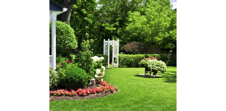 Comment créer un jardin facile à entretenir ? Loroux 35133