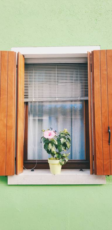 beaux volets en bois