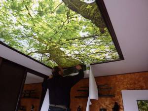 Plafond tendu rétro éclairage motif forêt