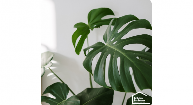 La végétalisation des espaces de travail dans le Calvados 