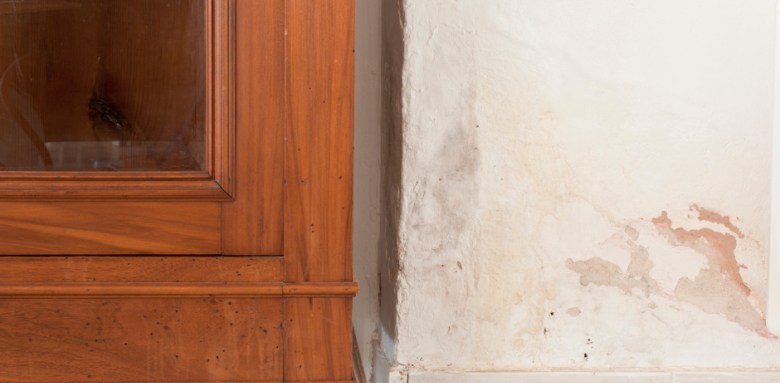 Traiter mur humide Pontarlier