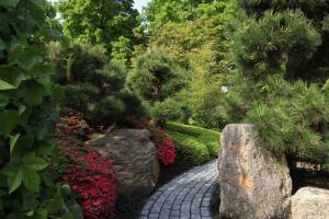 Aménagement allée de jardin à Ancenis