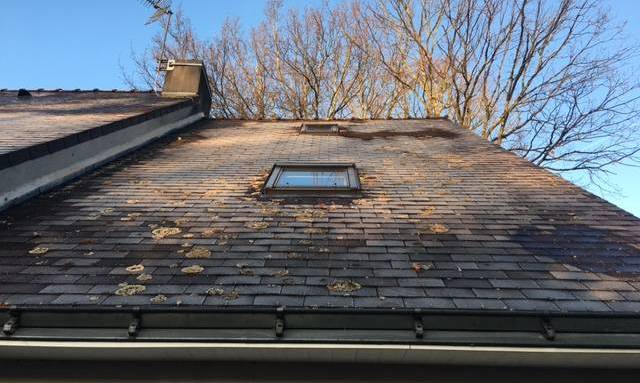 Toiture avant travaux de rénovation - Nantes 44