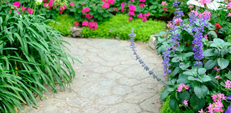 allée de jardin