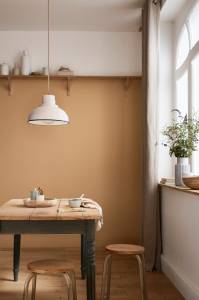 rénover ses murs : quelle peinture choisir 