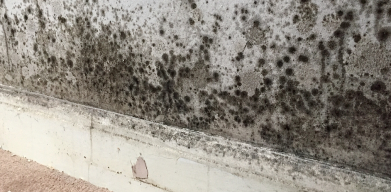 Traiter mur humide Haguenau