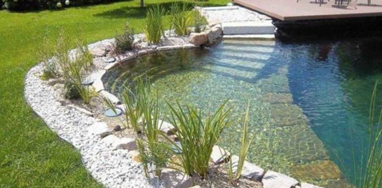 Piscine naturelle 2