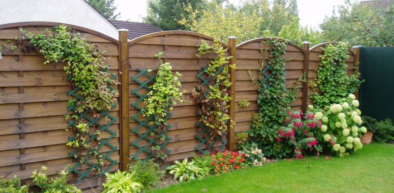 Clôture bois végétalisée découpes en arceaux