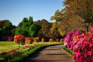 allée de jardin