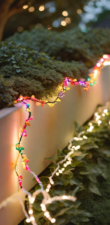  Guirlandes Lumineuses Noël