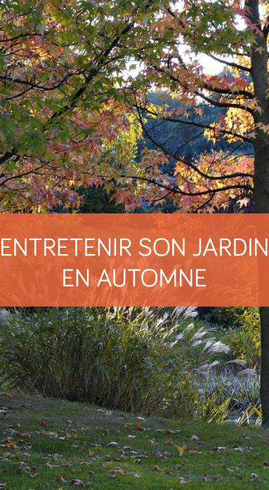 Entretenir son jardin en automne La Maison Des Travaux Vannes Sarzeau Pénestin