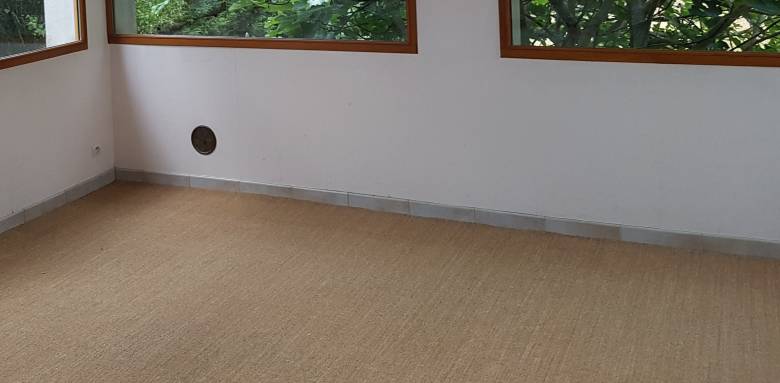 Sisal