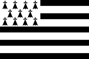 Participez à un stage sur le patrimoine breton à Vannes