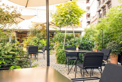 Terrasse végétalisé Senlis