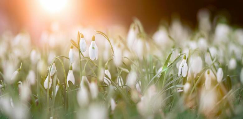 Préparez votre maison pour le printemps 