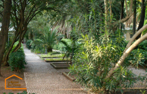 allée avec des fleurs exotique 