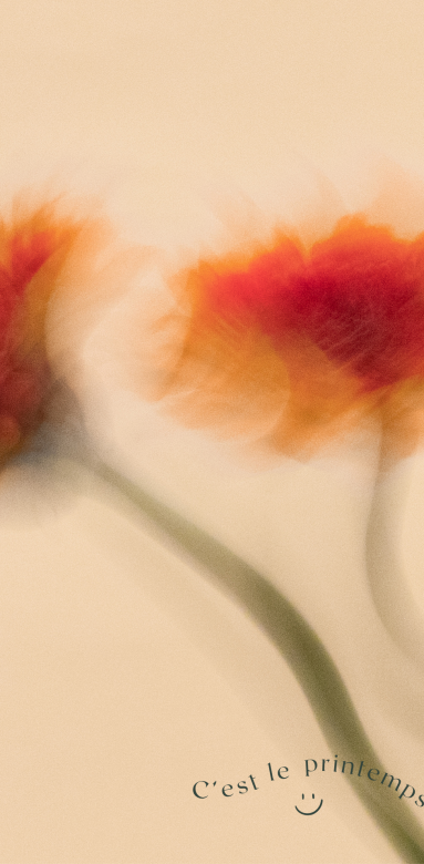 C'est le printemps, pensez à vos travaux 