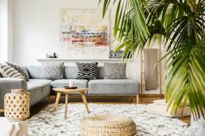 Décoration plante 
