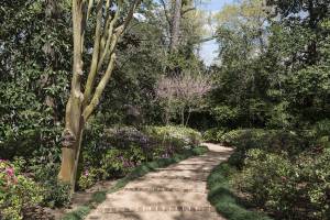 allée de jardin
