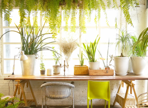 jardin hiver la maison des travaux orléans nord 