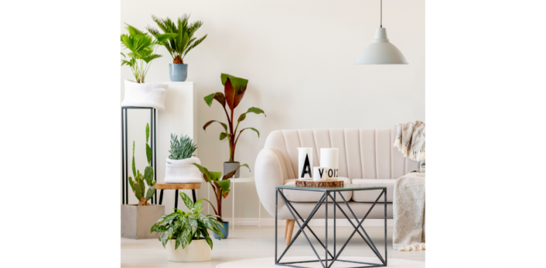 Conseils déco intérieure Haguenau