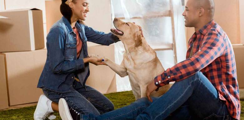 Où se loger pendant les travaux