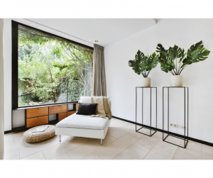  Fenêtre tendance 2025 Dijon