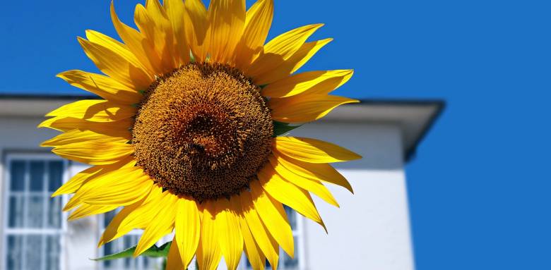 Quels travaux faire en été ?