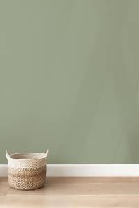 Décoration intérieure en vert sauge - Cholet 49